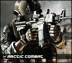 arctic combat webzen