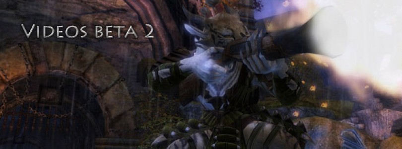 Algunos interesantes vídeos de la beta de Guild Wars 2