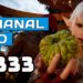 El Semanal MMO 333  ▶️ Path of Exile 2 – POE móvil – FFXIV – Superfuse ARPG – Remnant 2 exitazo ….